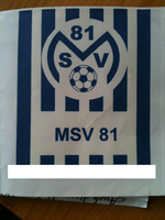 MSV 81