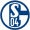 Fußball Club Gelsenkirchen-Schalke 04 e.V.