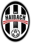 Vereinswappen - Haibach