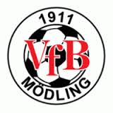 Vereinswappen - VfB Mödling